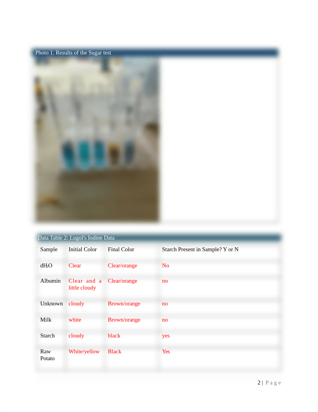 LA3-Biological Macromolecules Lab Assignment Sarah Perdue.docx_dqaqa49t058_page2