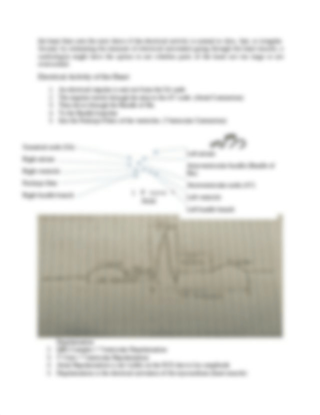 MED121_Week4_ECGStudy_Dotdot.docx_dqb7hof0tr5_page2