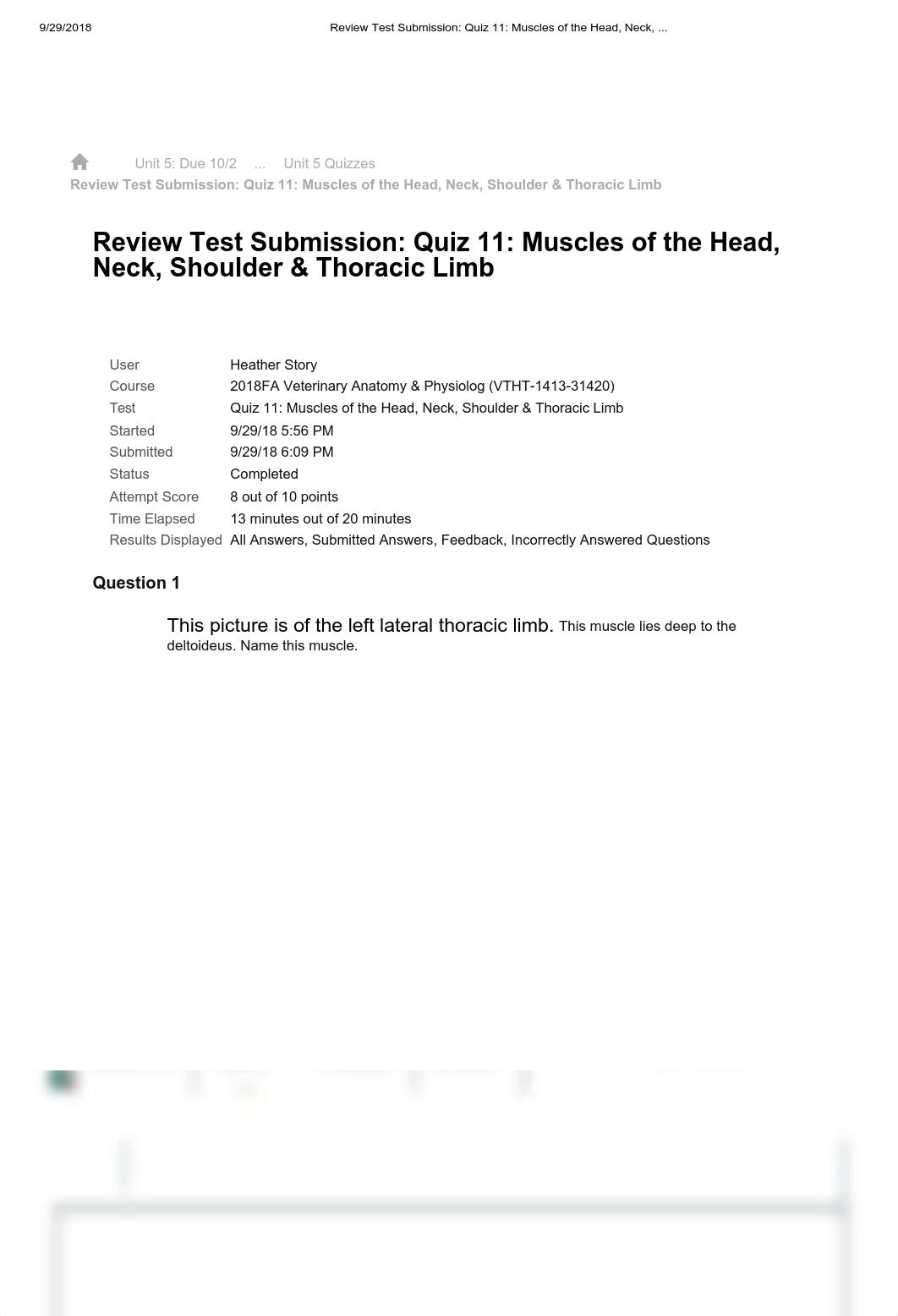 Review Test Submission_ Quiz 11_ Muscles of the Head, Neck, .._.pdf_dqbb6tifpcm_page1