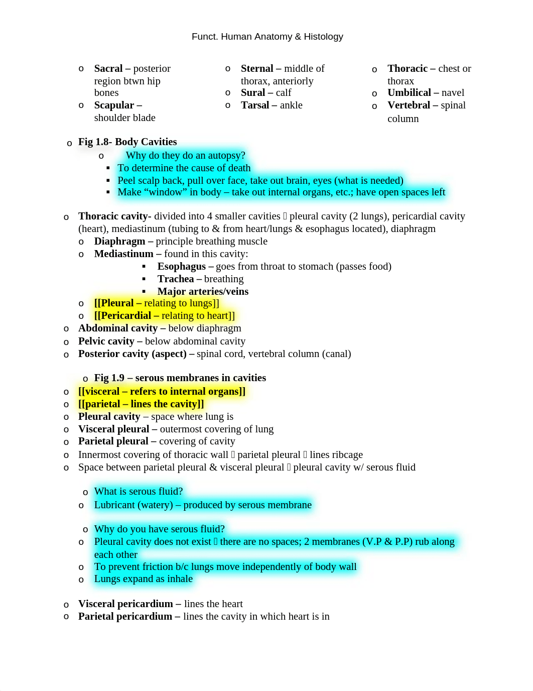 human_anatomy_-_exam_1_dqbc9odlymi_page3