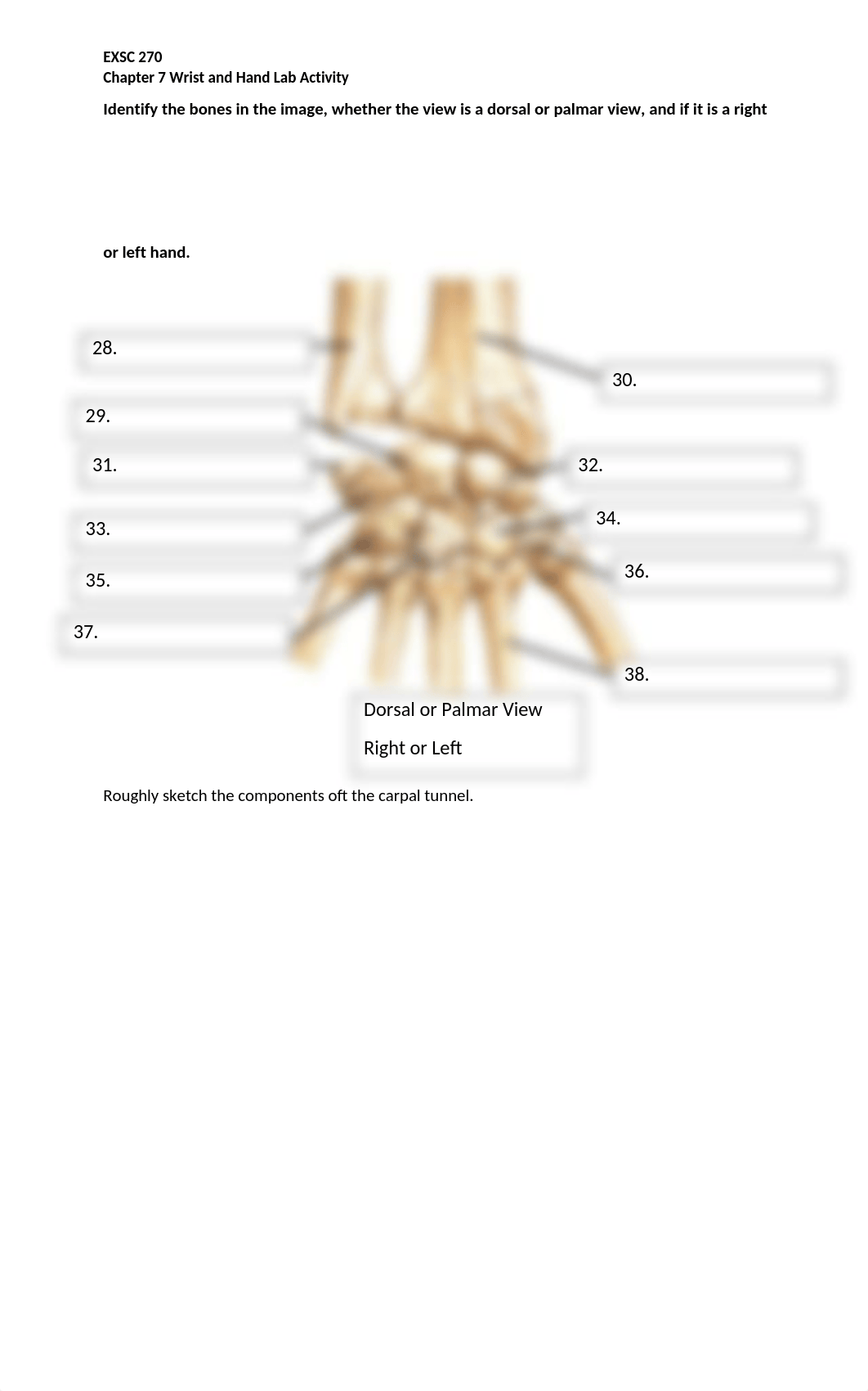 Chapter 7 Lab Activity.docx_dqbhg1v1cxe_page4