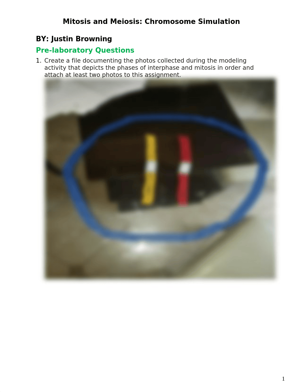 jbrowning meiosis and mitosis lab.docx_dqbiasksgbt_page1