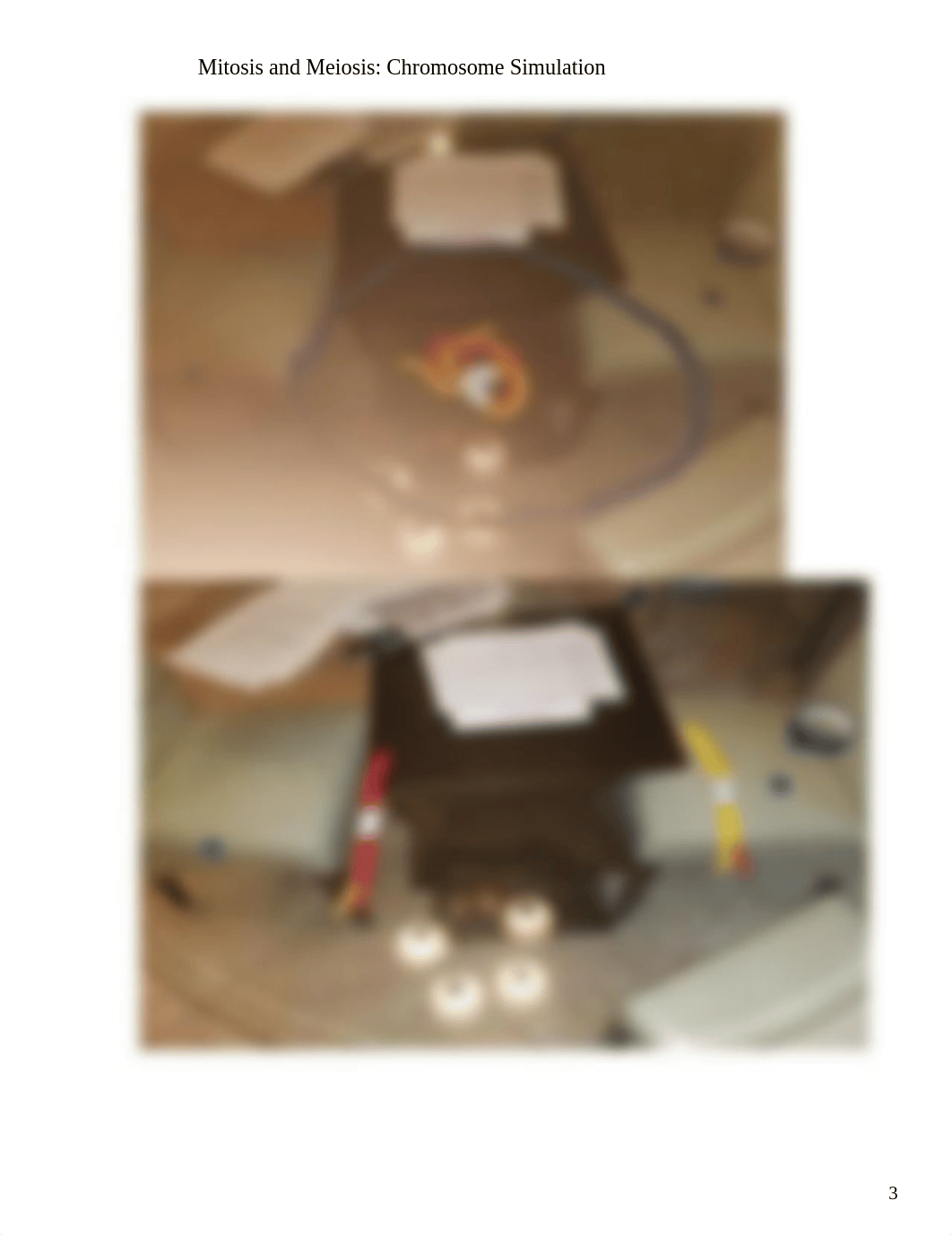 jbrowning meiosis and mitosis lab.docx_dqbiasksgbt_page3