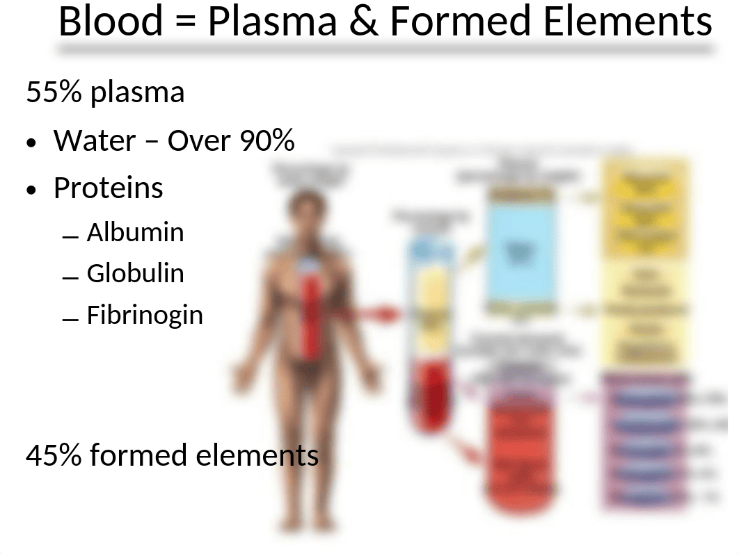 Lab Exercise 3 - Blood.ppt_dqbrts5lphc_page1