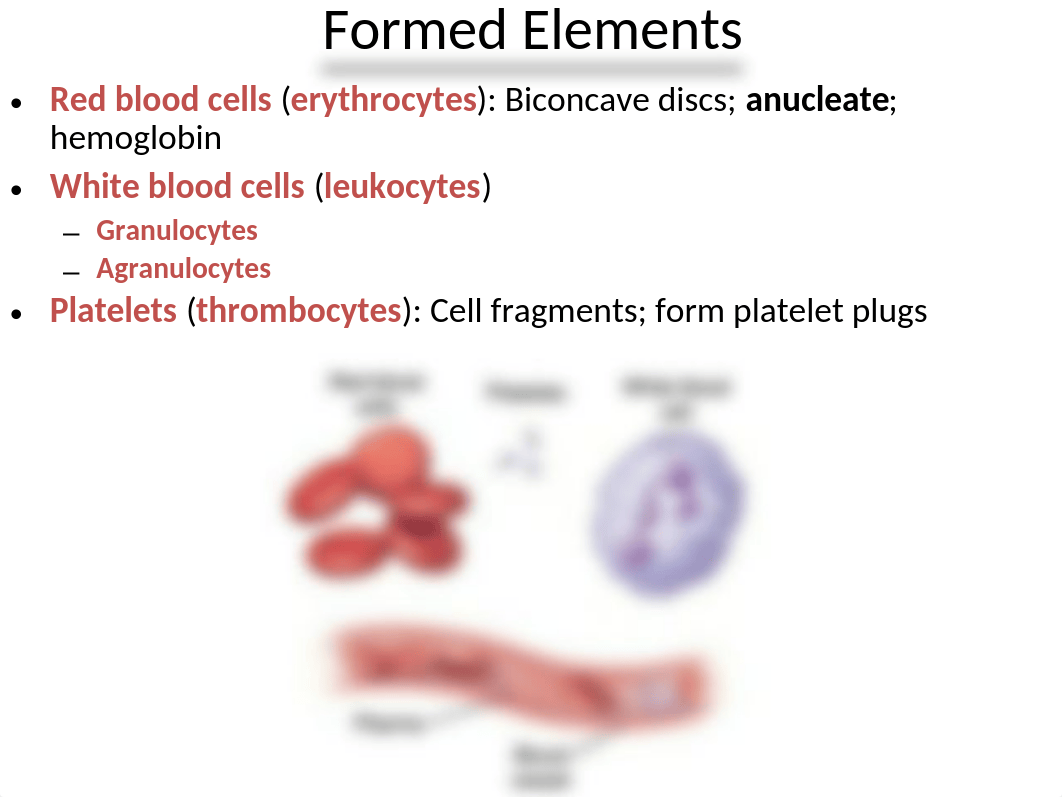 Lab Exercise 3 - Blood.ppt_dqbrts5lphc_page3