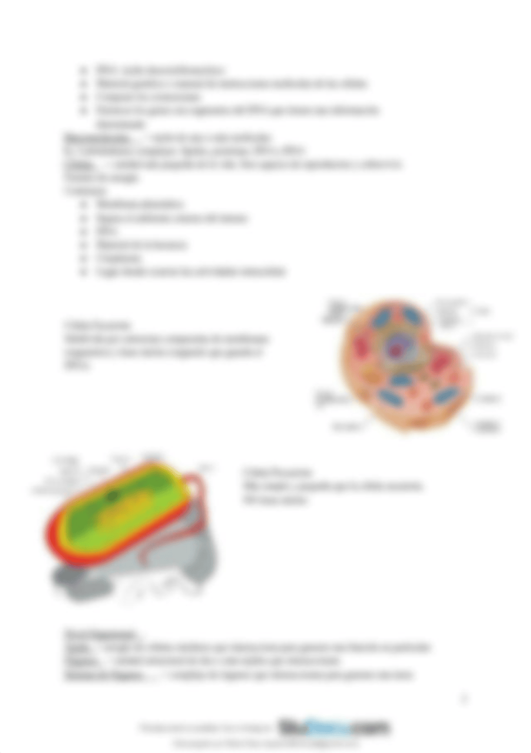 biol3011-repaso-examen-1.pdf_dqbz0csbx1n_page4