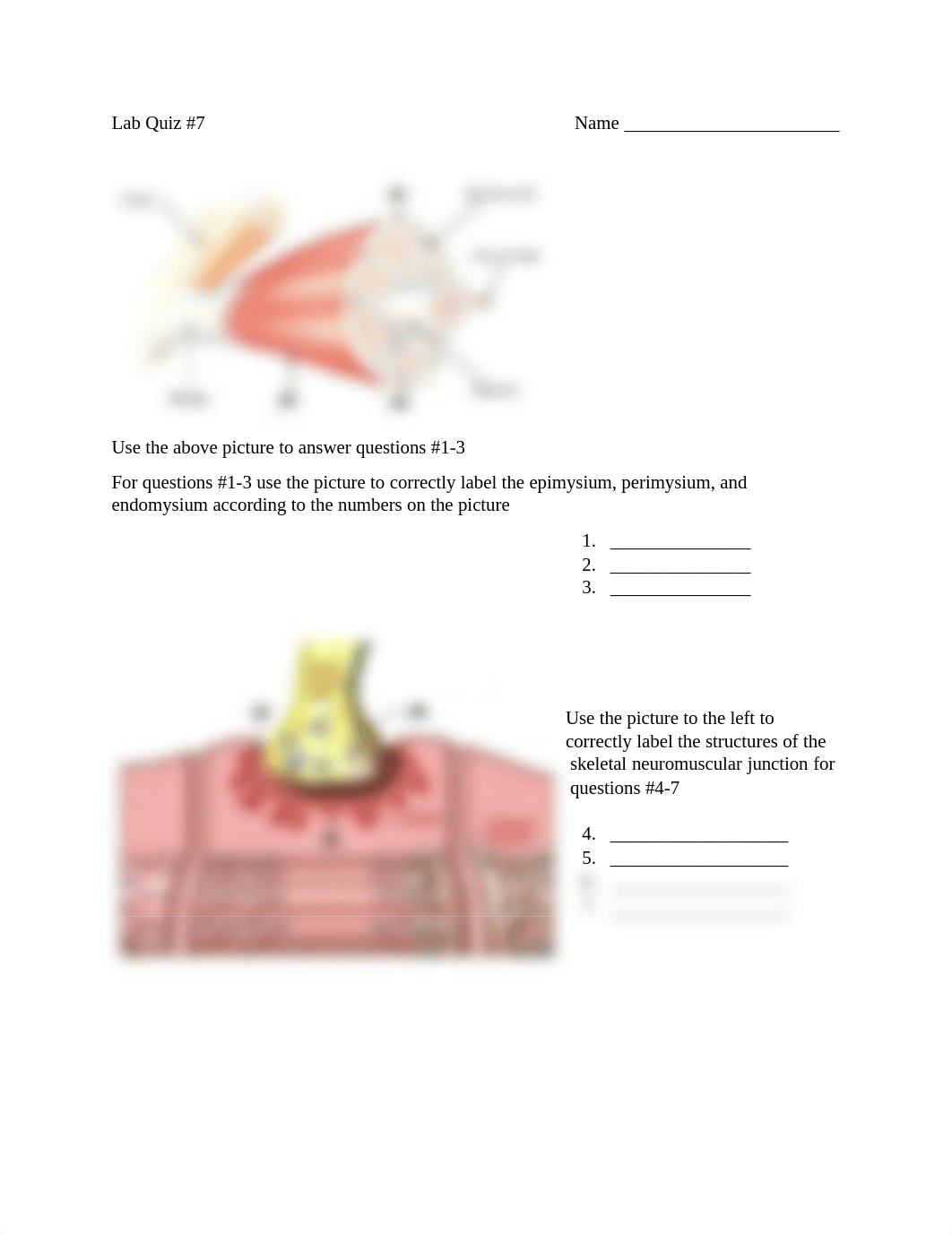 Lab Quiz 7_dqc1yzjilmw_page1