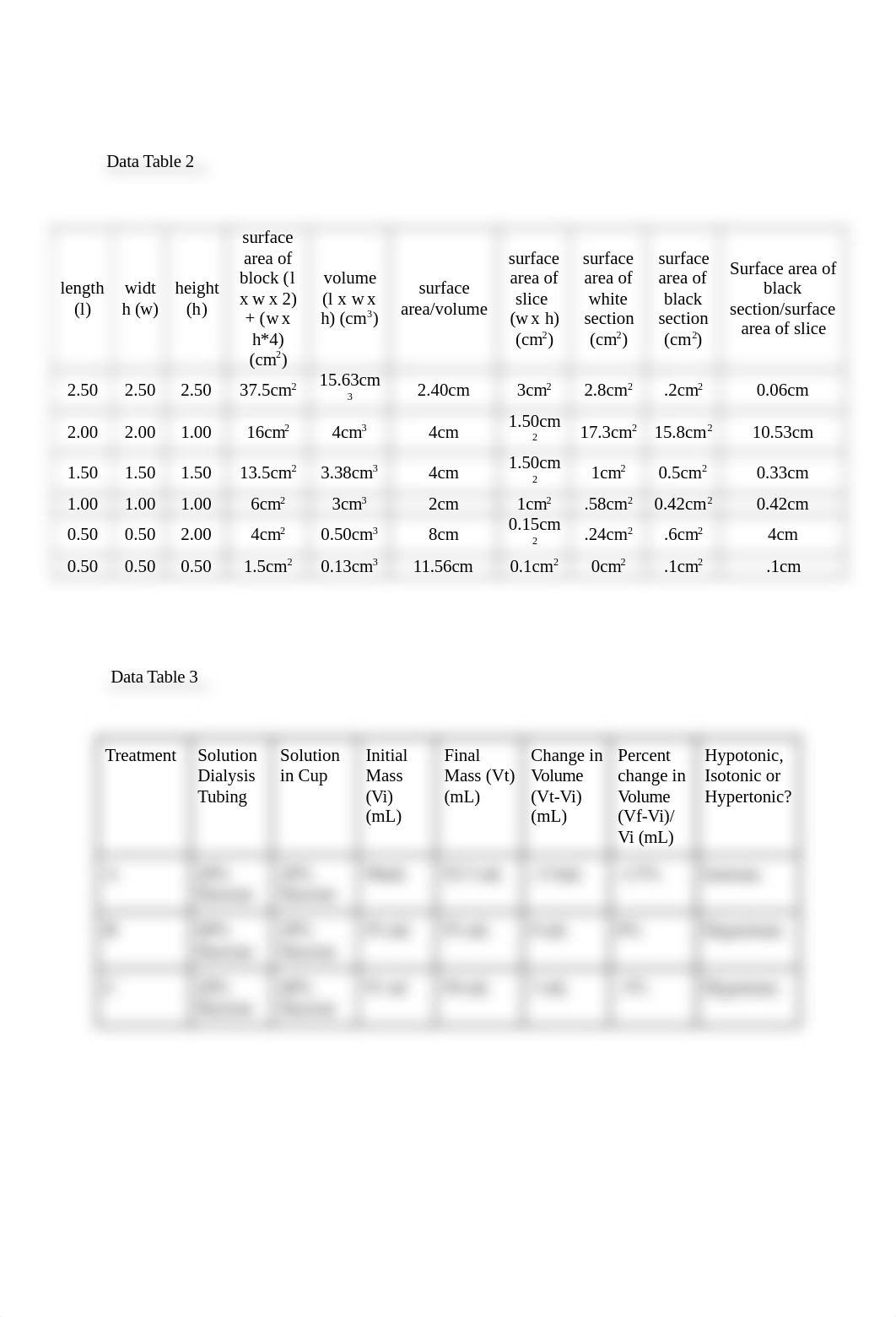 Lab 6.docx_dqc8osv5h1q_page2