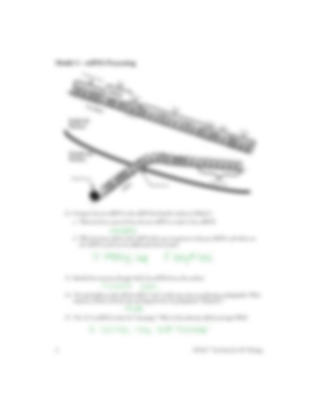 EAnderson Gene Expression - Transcription.docx_dqcbqs1i62k_page4