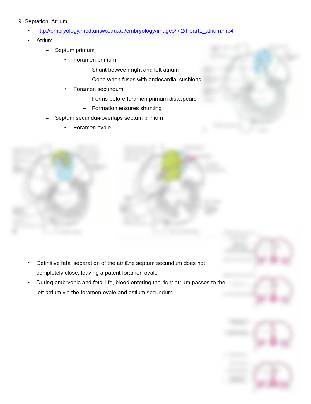 11-18_Lecture Handout Cardiovascular Embryology S_Keim.pdf_dqcdybrcvgx_page5