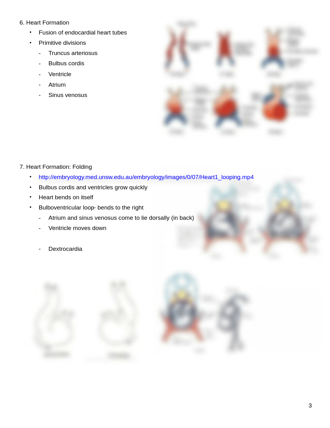 11-18_Lecture Handout Cardiovascular Embryology S_Keim.pdf_dqcdybrcvgx_page3