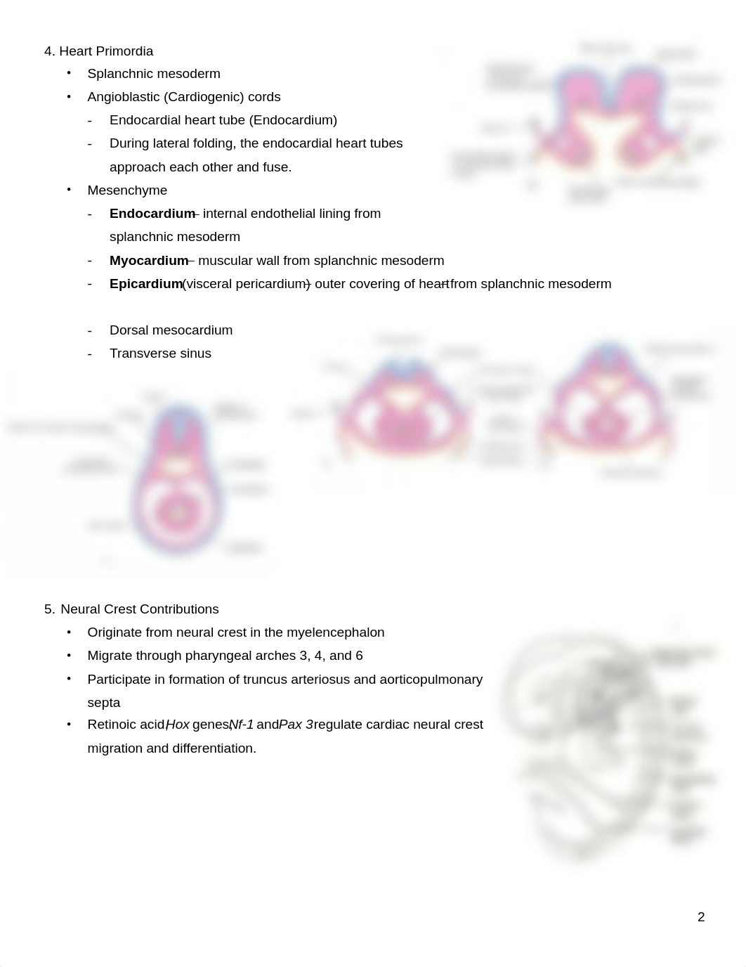 11-18_Lecture Handout Cardiovascular Embryology S_Keim.pdf_dqcdybrcvgx_page2