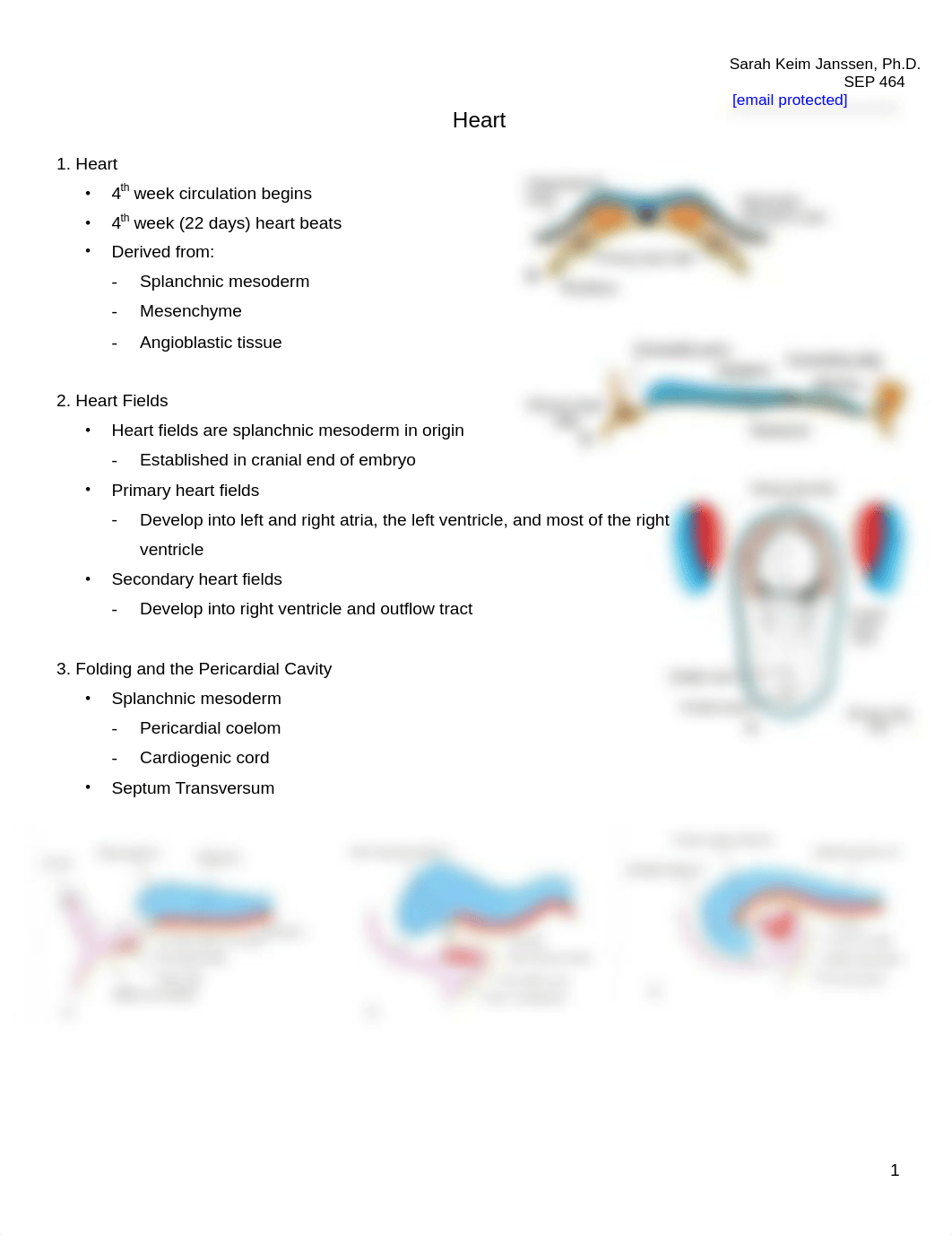 11-18_Lecture Handout Cardiovascular Embryology S_Keim.pdf_dqcdybrcvgx_page1