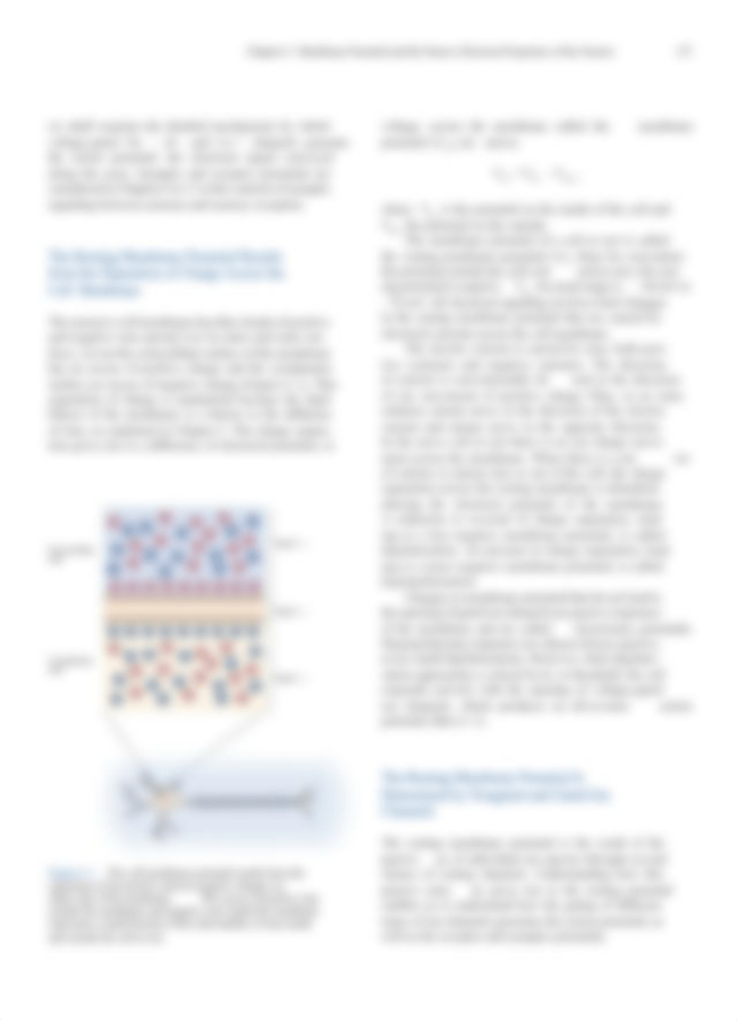 Principles of Neural Science Chapter 6.pdf_dqcfduloa6w_page2