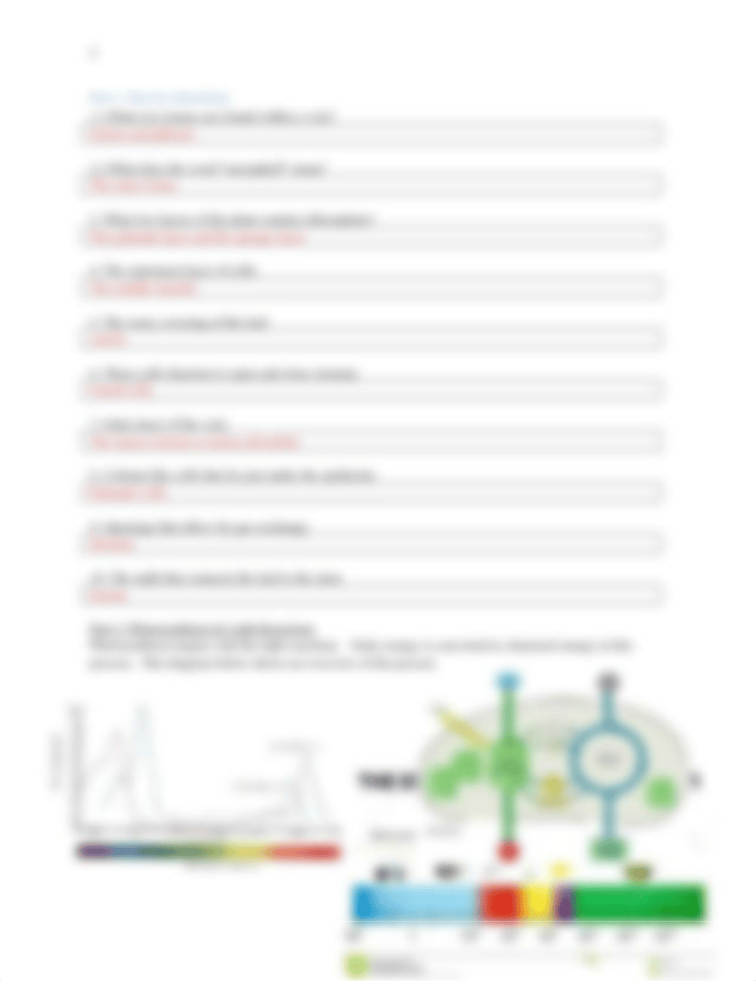 Lab J.docx_dqcm1tojlka_page2