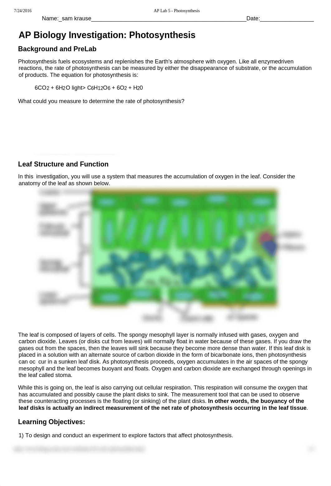 wk 7 lab PhotosynthesisLab part ONE.docx_dqden8lek1j_page1