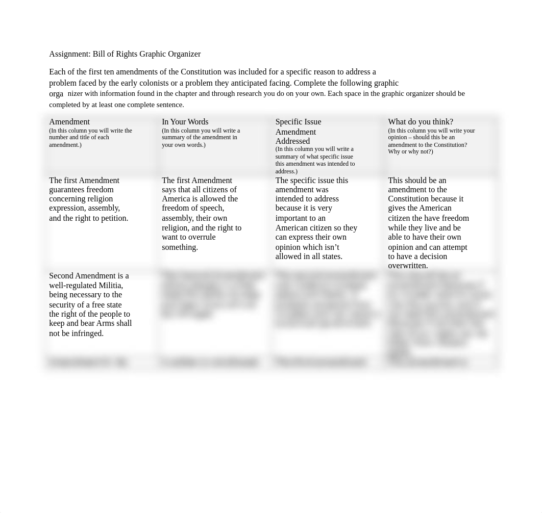 BillOfRightsGraphicOrganizer.doc_dqdhhg38qxb_page1