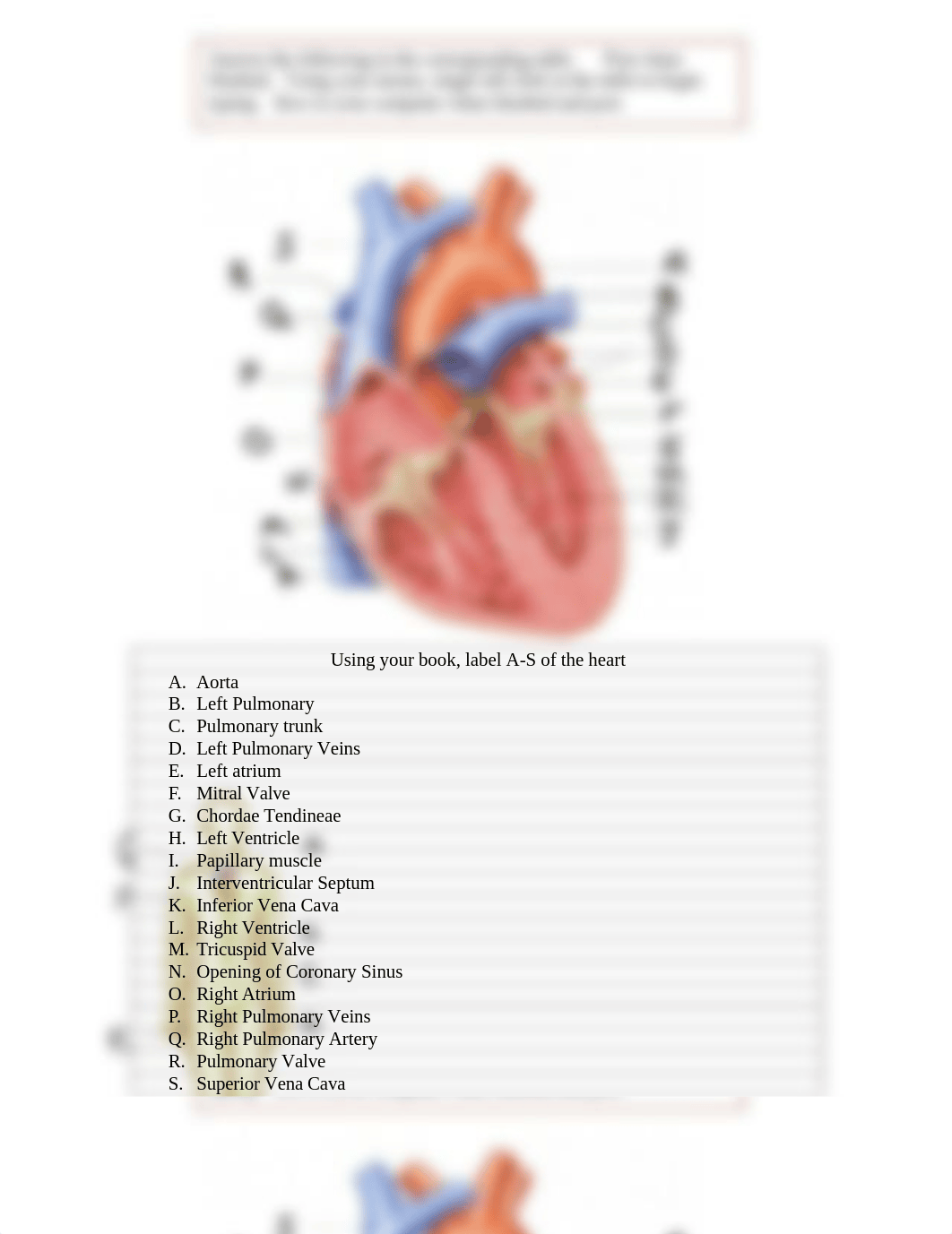 Cardiovascular-lymph(1).doc_dqdt2ae5t3l_page1