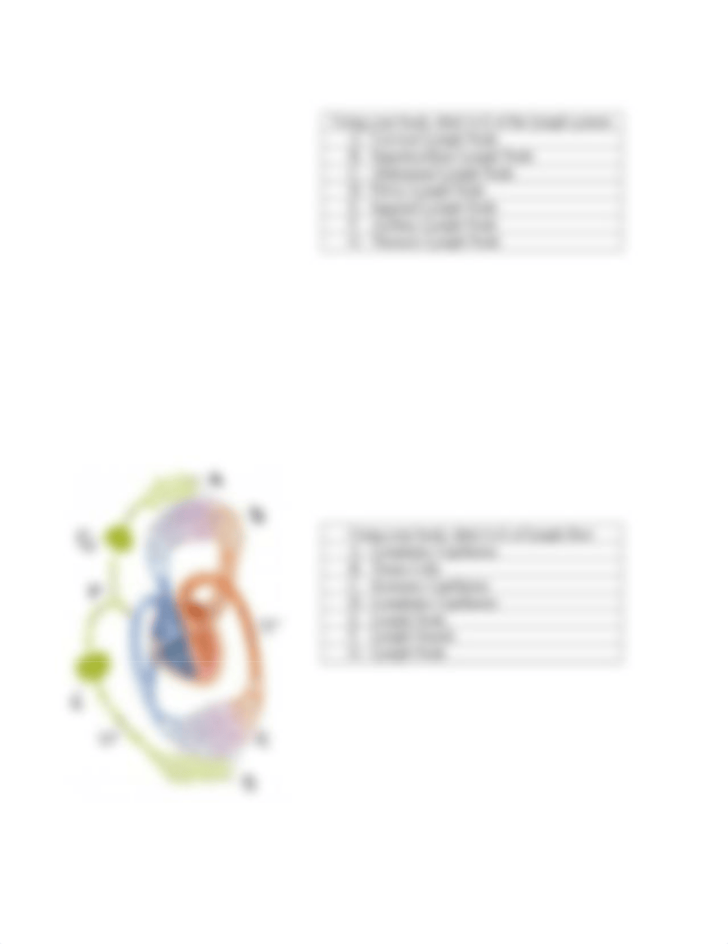 Cardiovascular-lymph(1).doc_dqdt2ae5t3l_page2