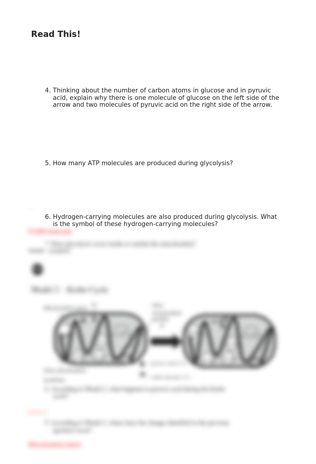 13_Cellular_Respiration.docx_dqdt42j1xhf_page2