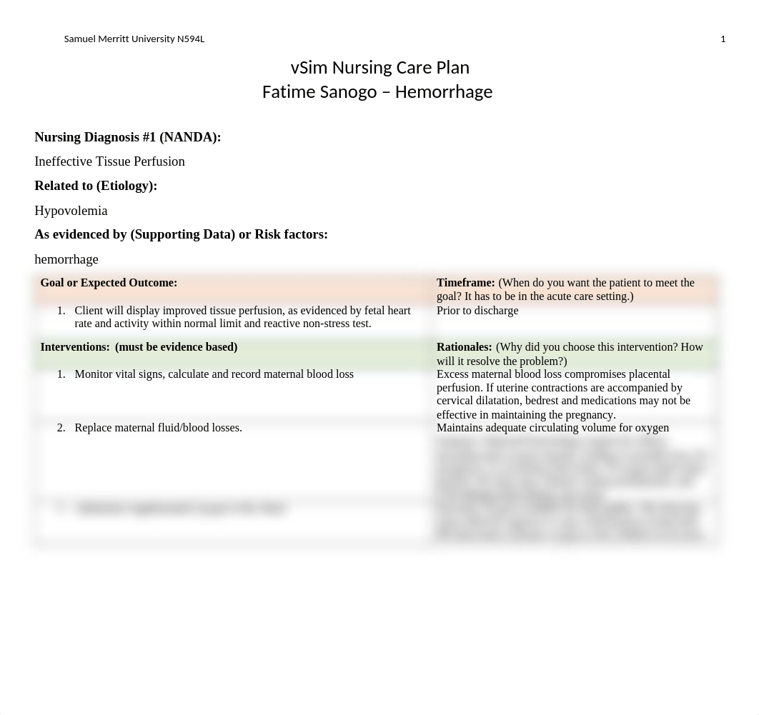 vSIM_Fatime Sanogo_Care Plan.docx_dqdvmyxur74_page1