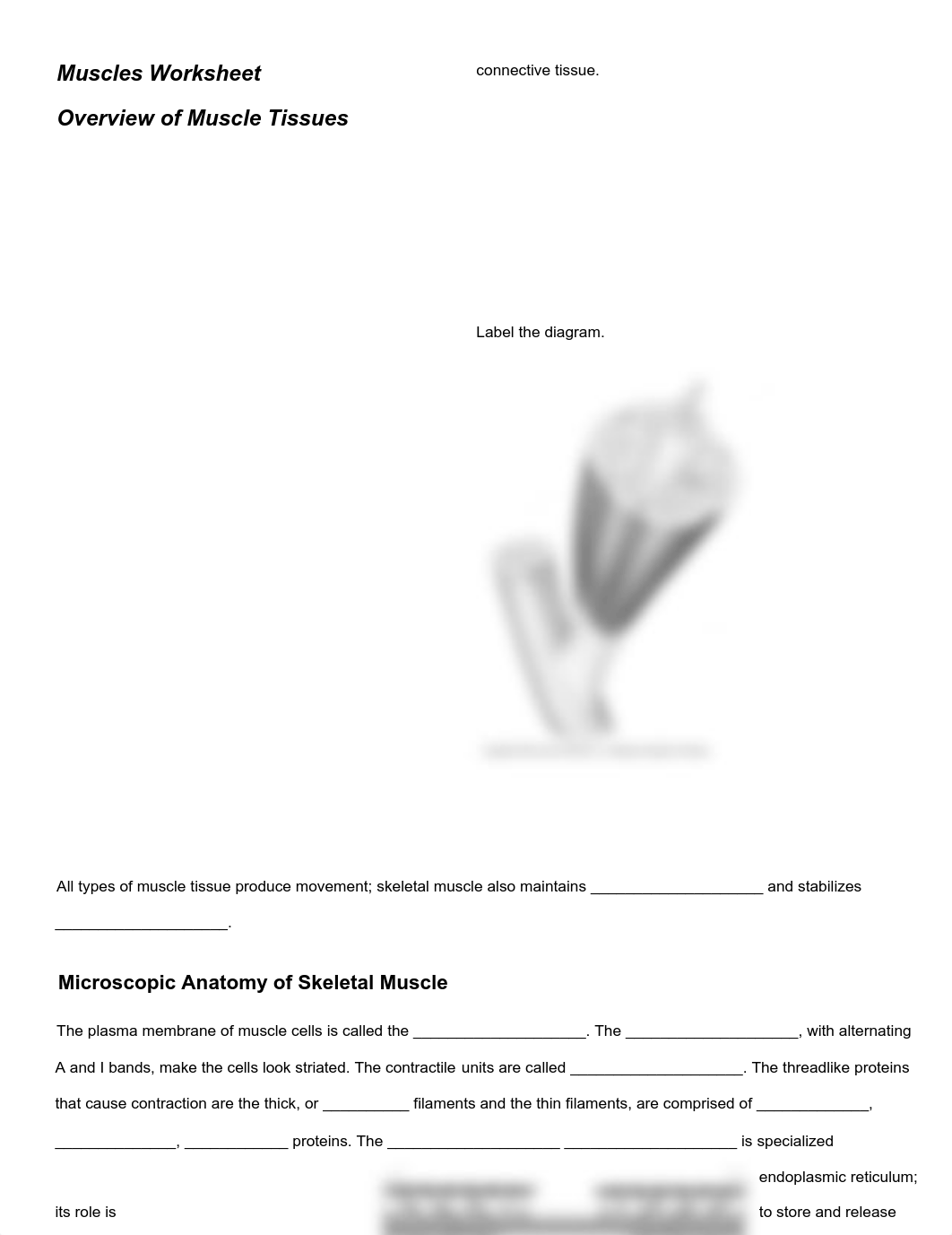 Copy of  Muscle Overview.pdf_dqdw60g1jiv_page1