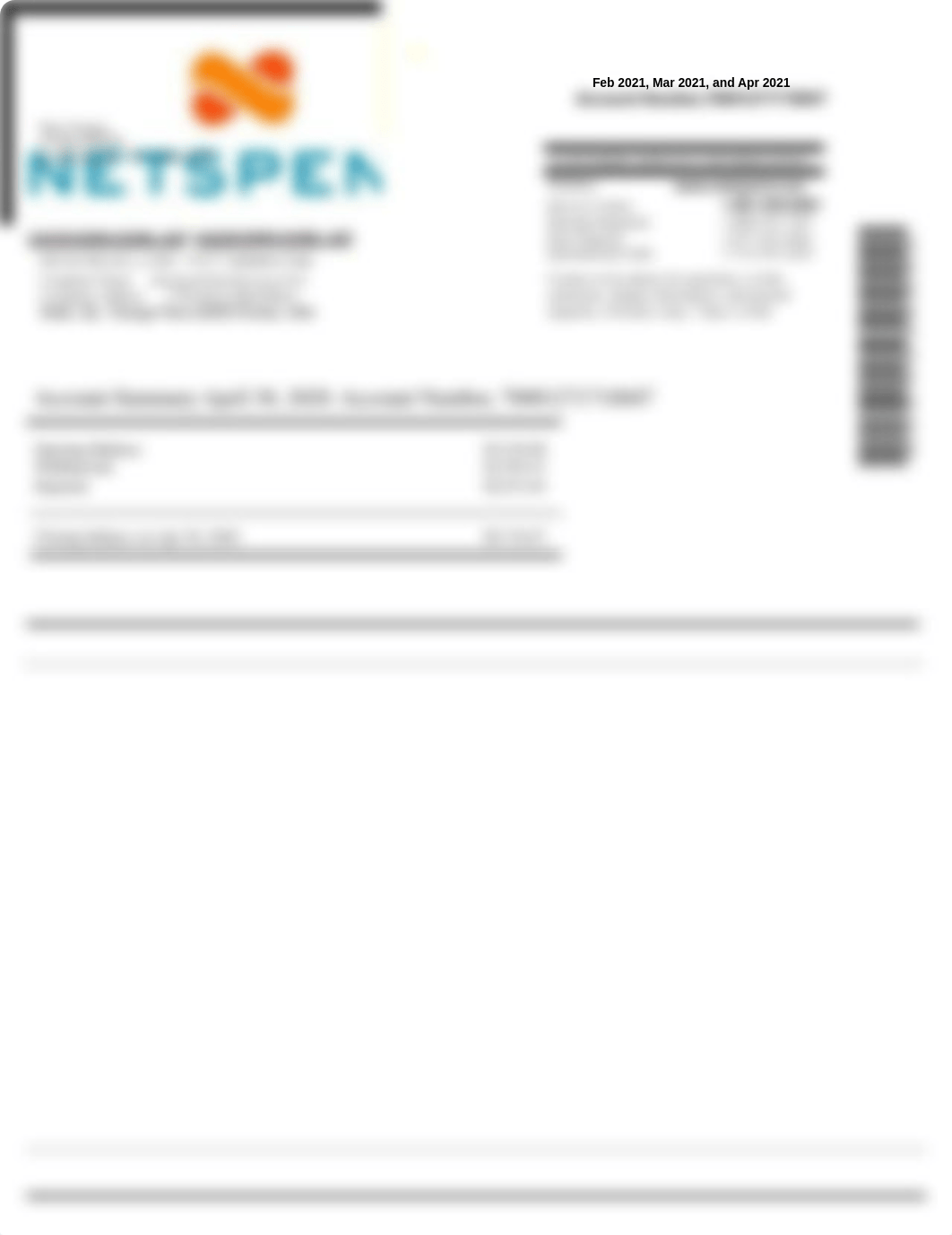 Netspend bank statement!!!.pdf_dqdwzrquahx_page1