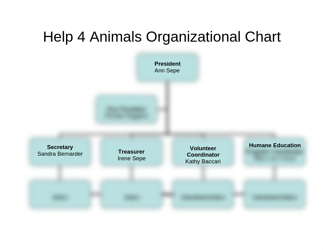 Help 4 Animals Organizational Chart_dqe6jkj9oa8_page1