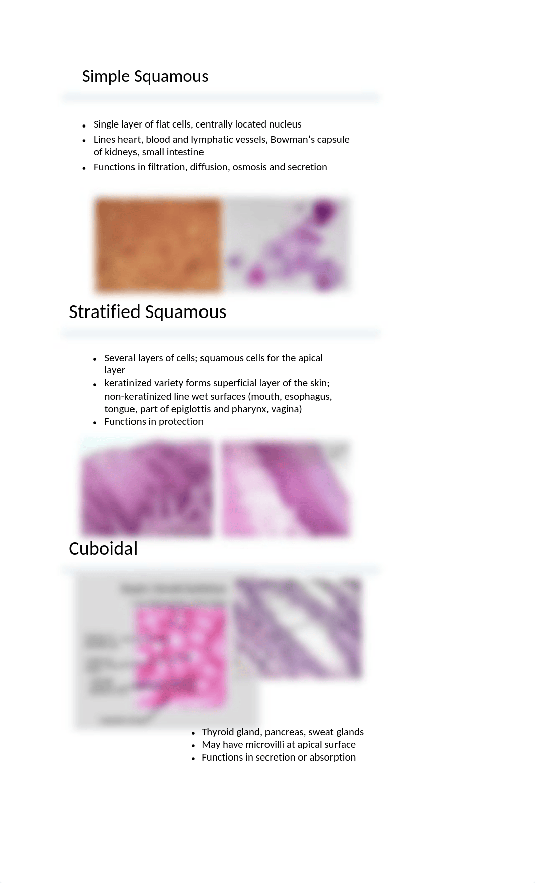 bio 220 lab 1 notes.docx_dqee1j8mfvn_page4