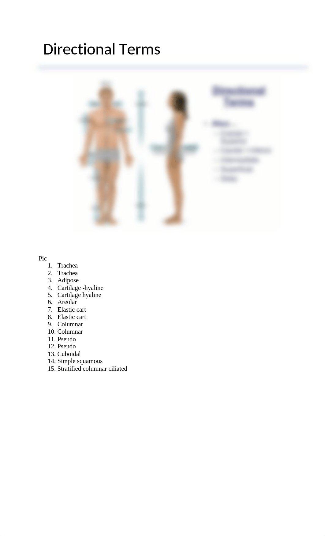 bio 220 lab 1 notes.docx_dqee1j8mfvn_page3