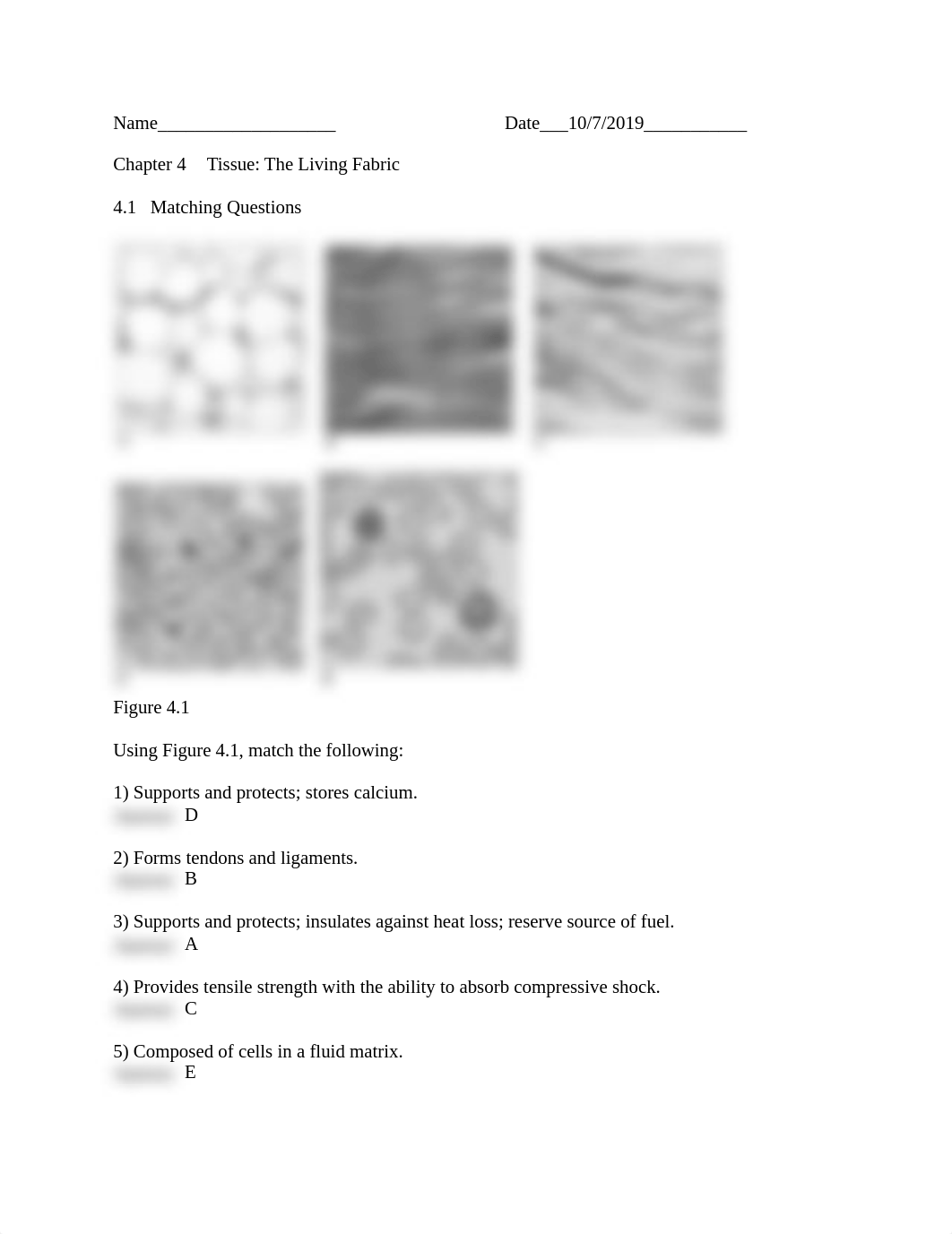 Chapter 4   Tissue.NA (1).docx_dqeqj3z1swu_page1