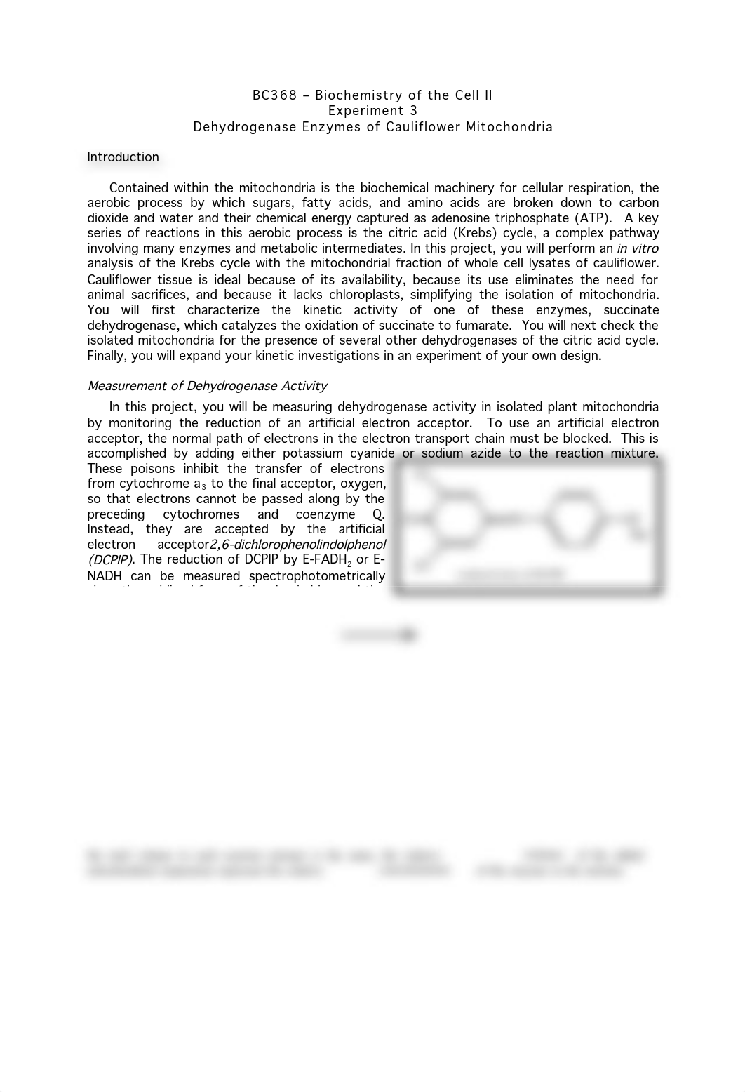 Experiment 3_dqer25bcxai_page1