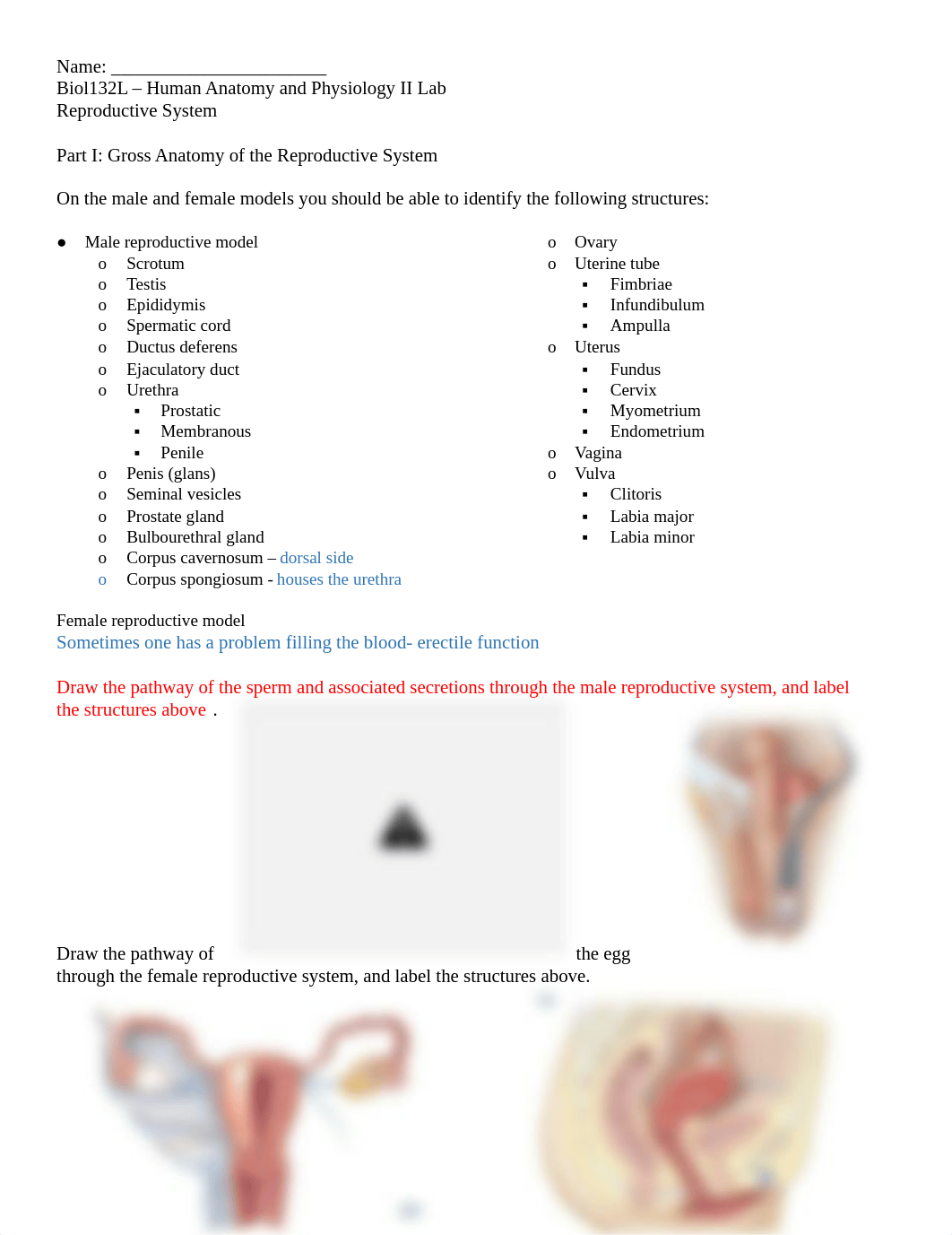 Reproductive lab.pdf_dqeww85dxz5_page1