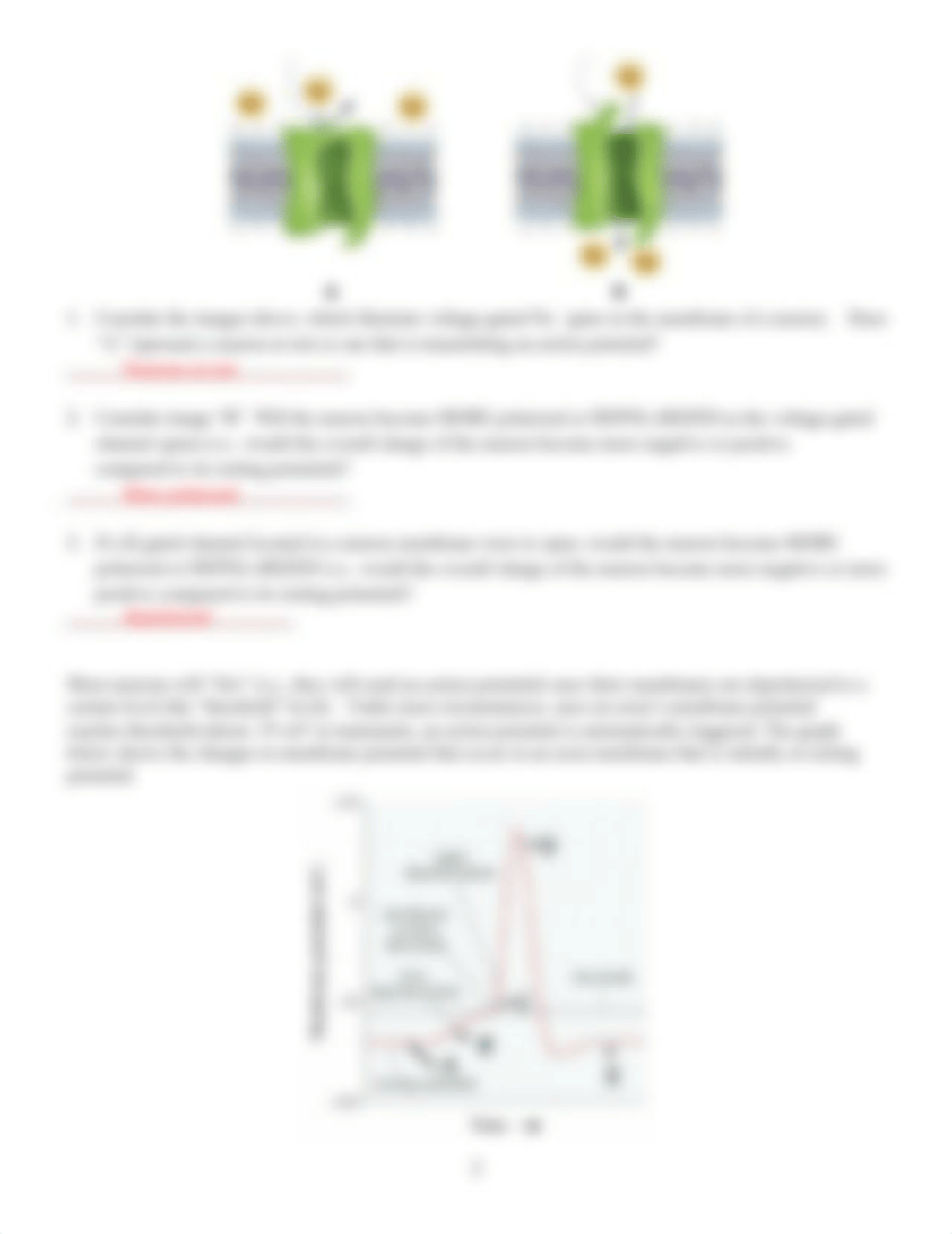 ALA-Neurons(2).docx_dqf2uohcwaw_page2