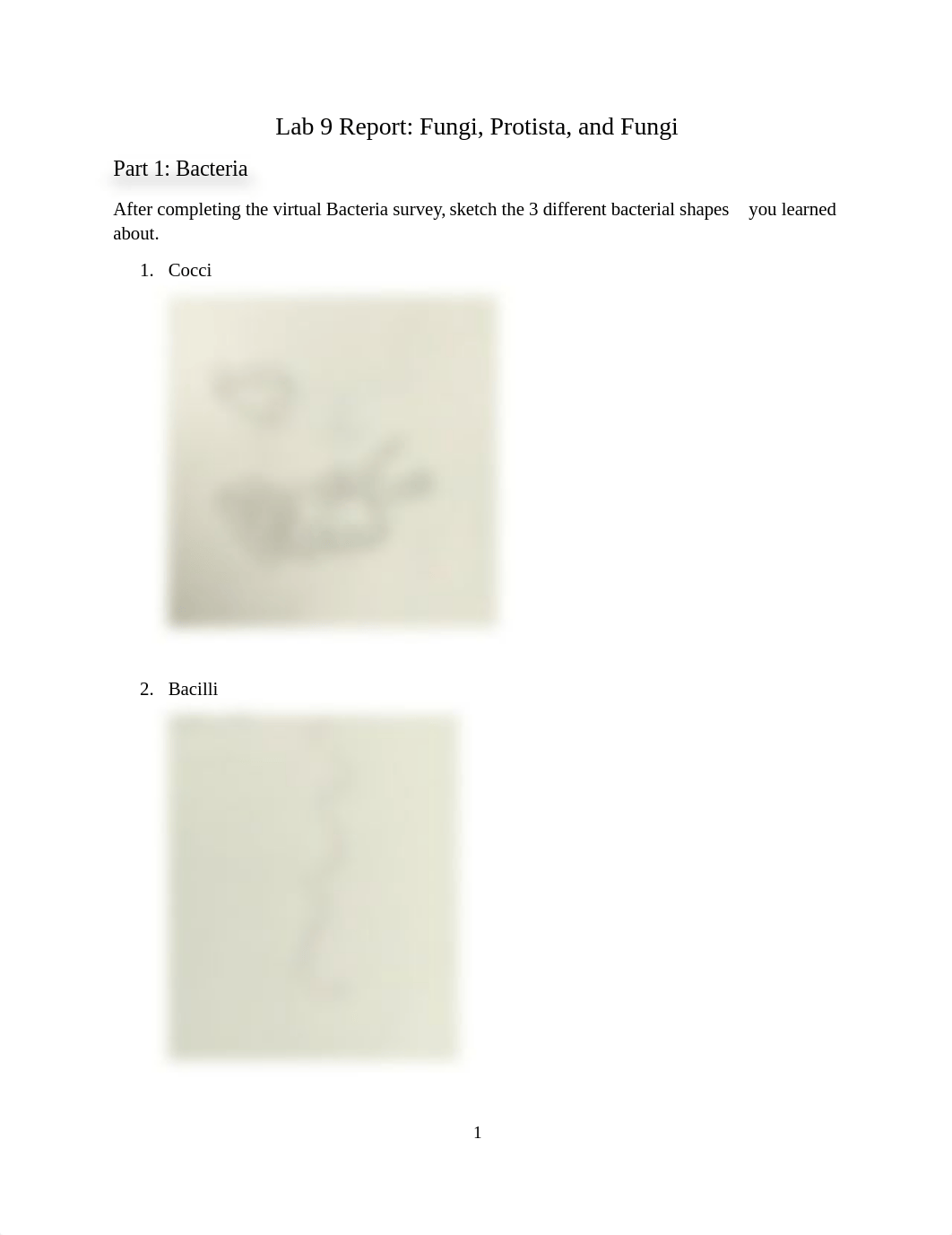 Lab 10 Report - Bacteria, Protista, Fungi.doc_dqf5gofgf20_page1