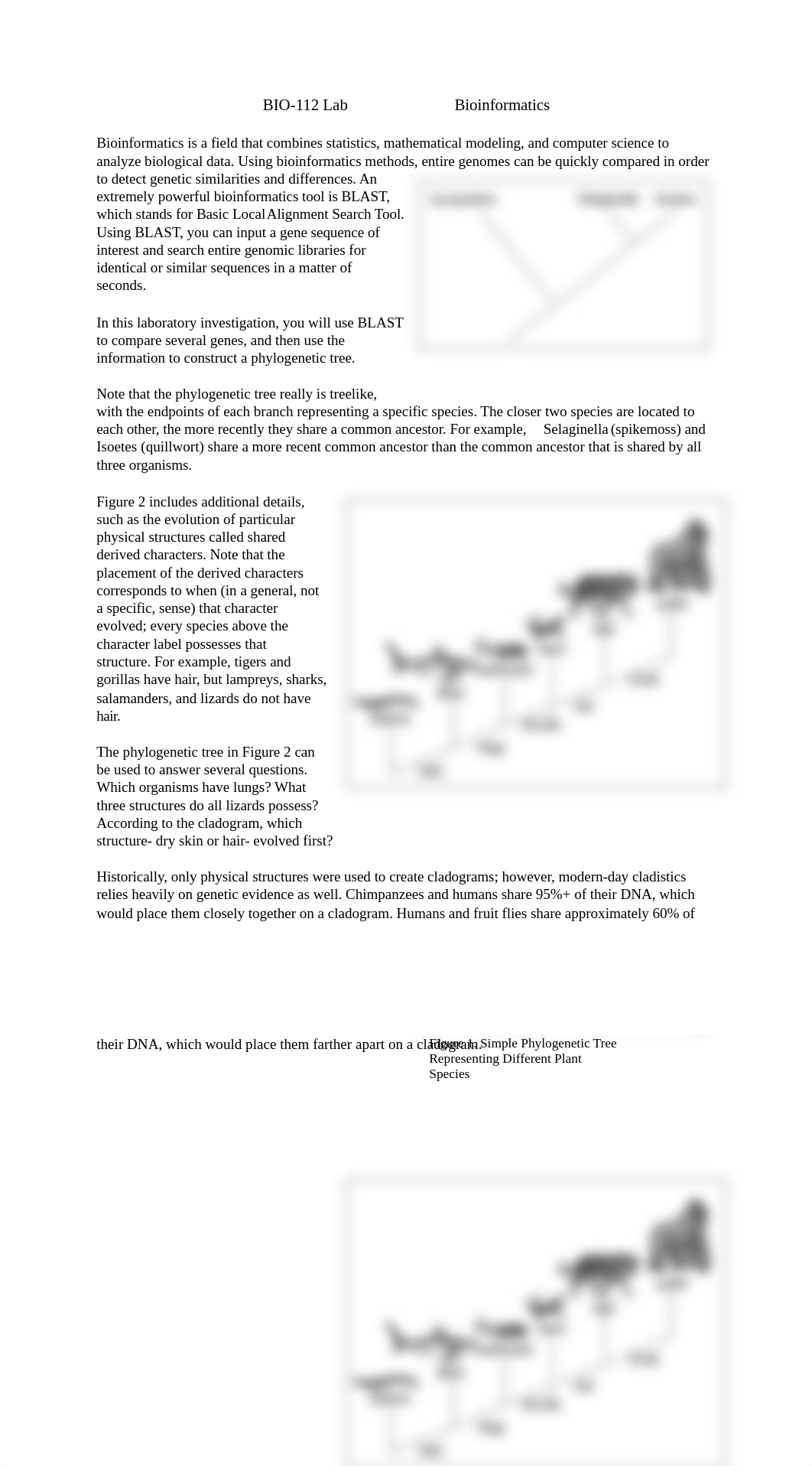 Bioinformatics Lab.docx_dqf78go6nl9_page1