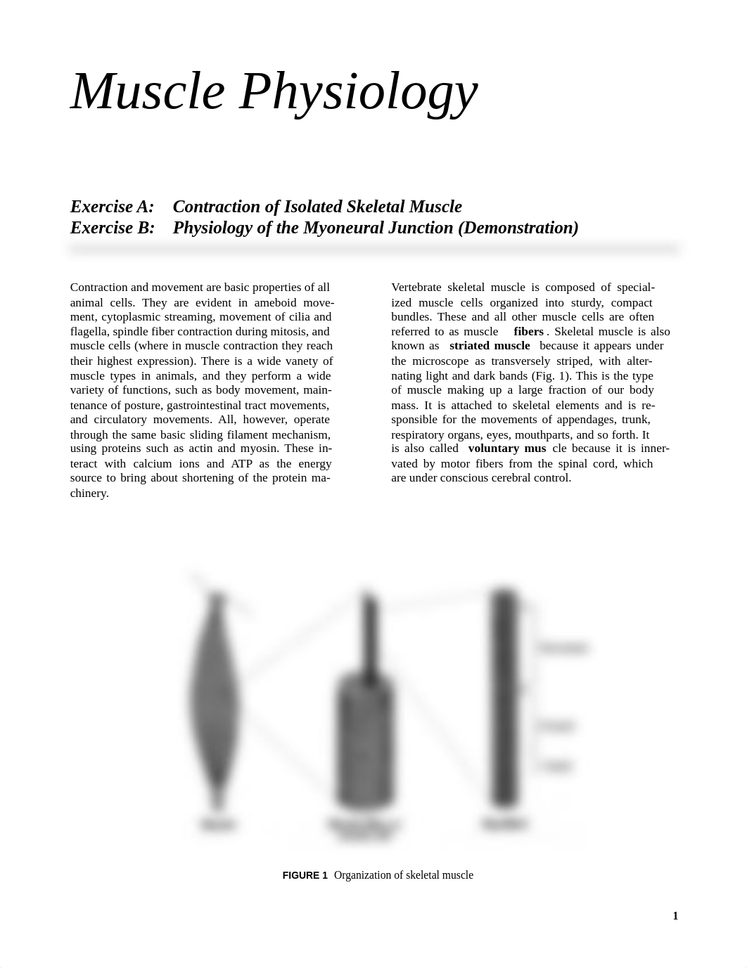 exercises24_27 (1).pdf_dqf8ncf8hbc_page1