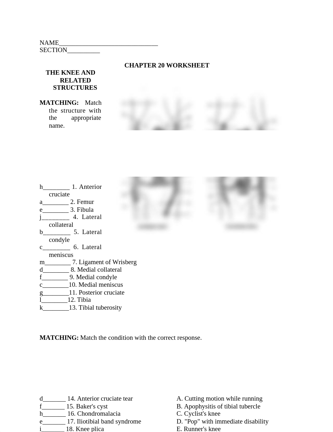 Worksheet20.docx_dqf9c7bodm2_page1