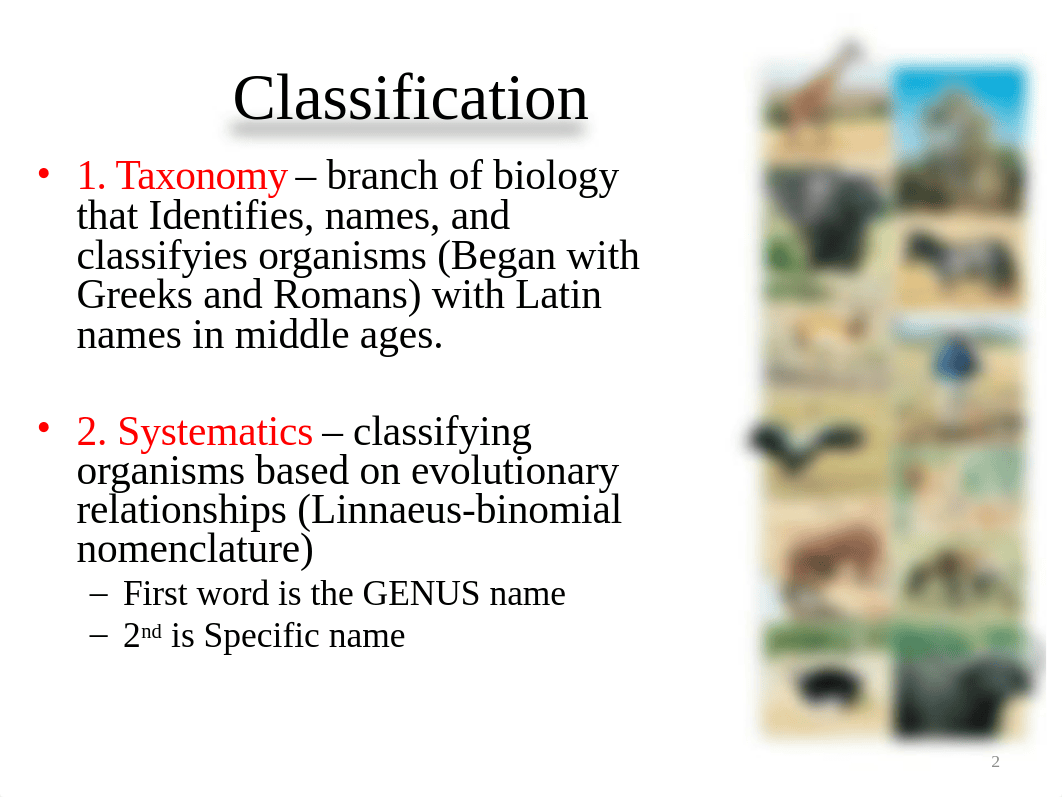 Chapter 19- Taxonomy.pptx_dqf9o59p248_page2