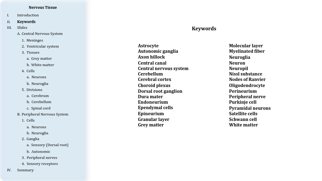 07 - Nervous Tissue.pdf_dqfdvrpk53s_page3