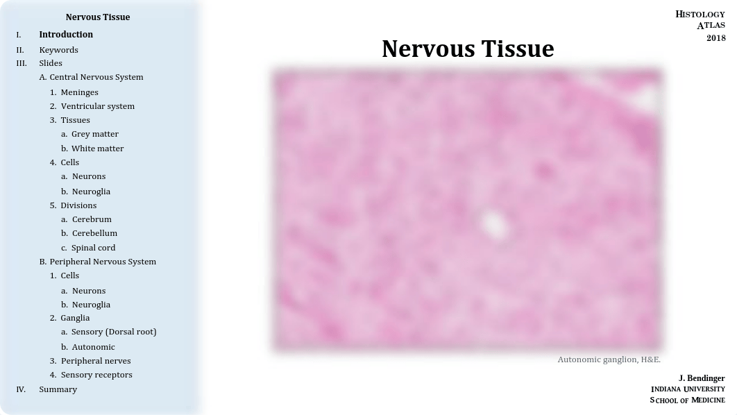 07 - Nervous Tissue.pdf_dqfdvrpk53s_page1