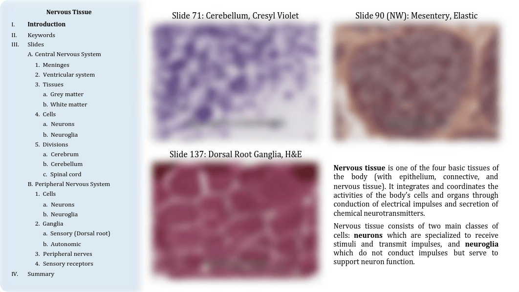 07 - Nervous Tissue.pdf_dqfdvrpk53s_page2