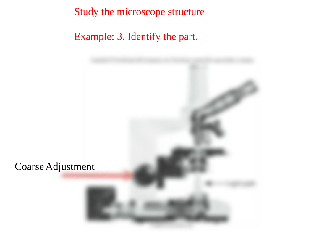 Lab Study Guide.ppt_dqflb9u6pb9_page4