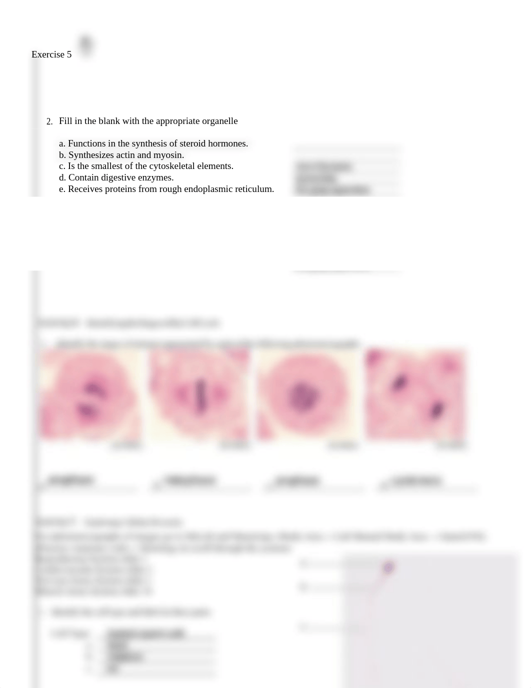 Unit 2 Lab Exercise.pdf_dqfnfssuhc5_page2