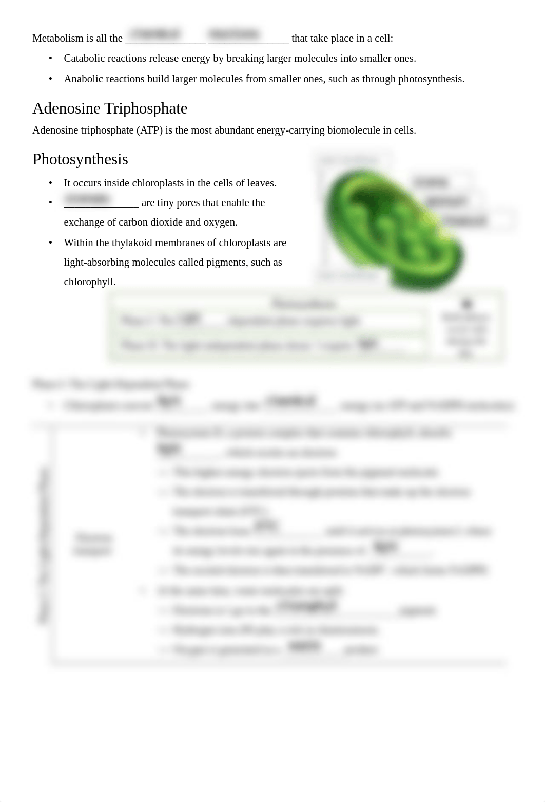 Notes- Photosynthesis and Cellular Respiration(5-7).pdf_dqfp0zzsx9p_page2