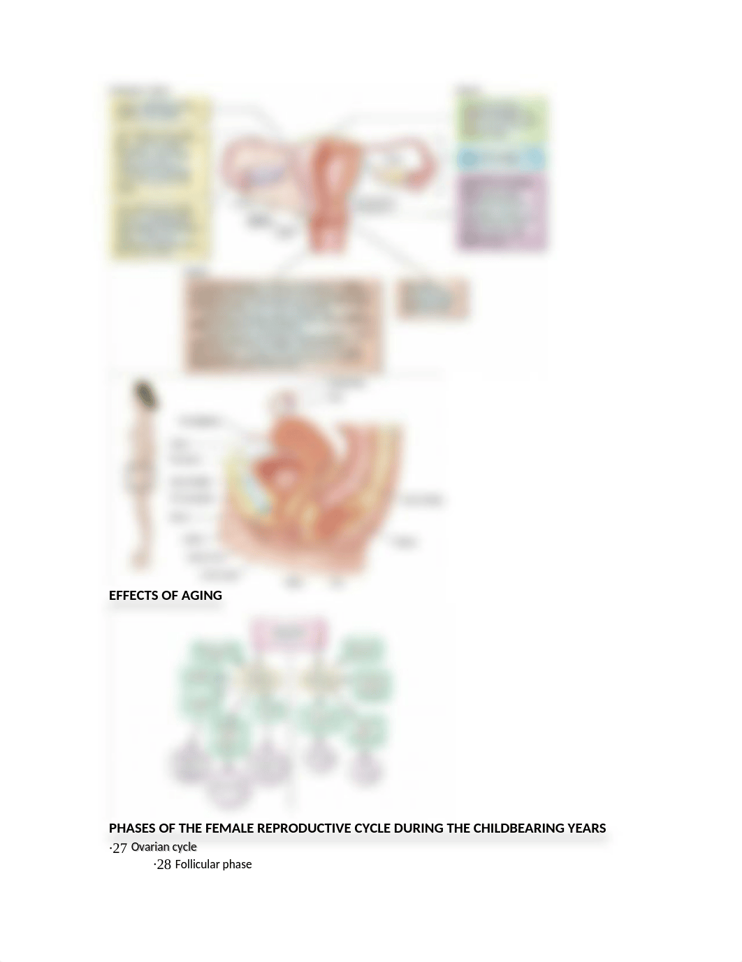 Reproductive - ch 38.rtf_dqfpcclxnvq_page2