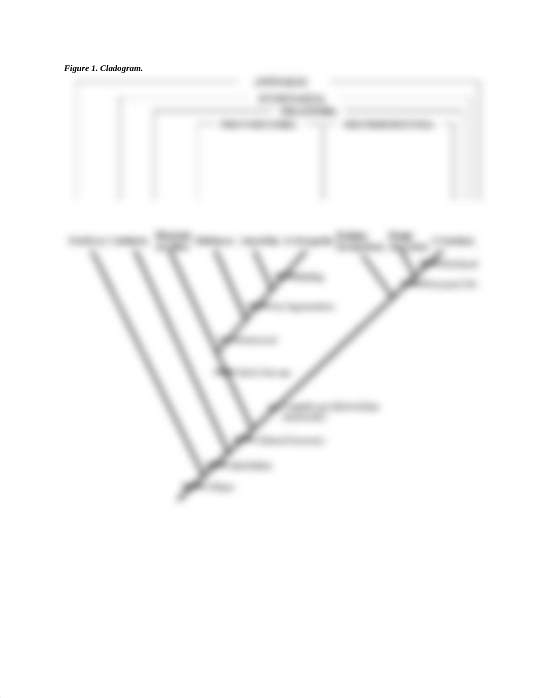 Phylogenetic Trees.docx_dqfriw1gi29_page2