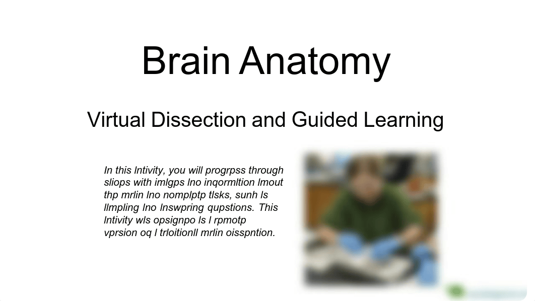 Sheep Brain Dissection lab (Online).pdf_dqfsa9om980_page1