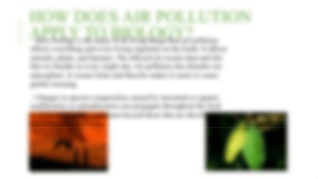 AIR Pollution Powerpoint.pptx_dqfsak06md7_page4