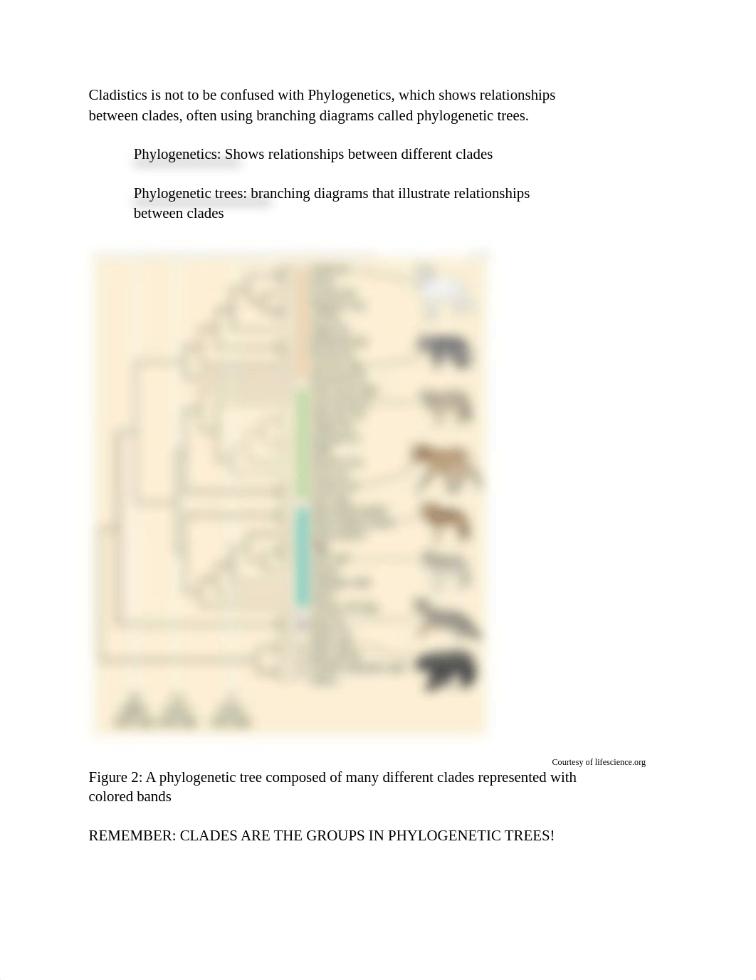 Lab 4 Phylogenetic Systematics.pdf_dqfxscc8gy3_page2